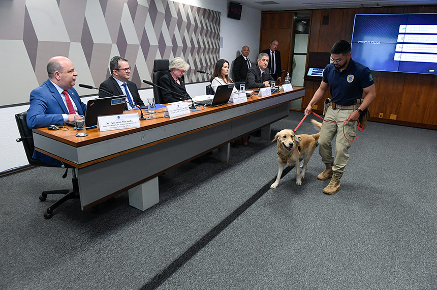 Audiência na CMA discutiu segurança no transporte de animais em voos — Senado Notícias