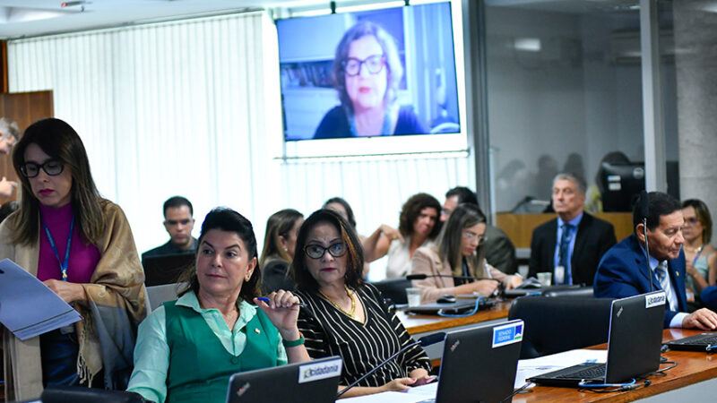 CE aprova charge, caricatura, cartum e grafite como manifestações culturais — Senado Notícias