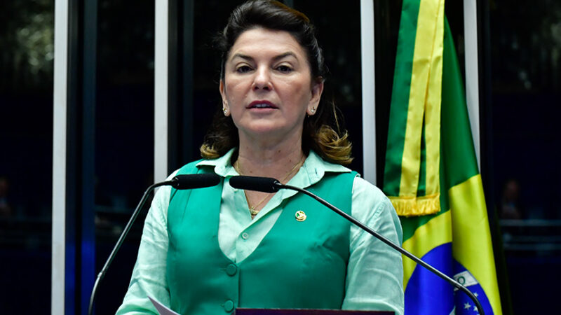 Cenário alarmante do fogo reflete descaso e incapacidade do governo, diz Rosana Martinelli — Senado Notícias