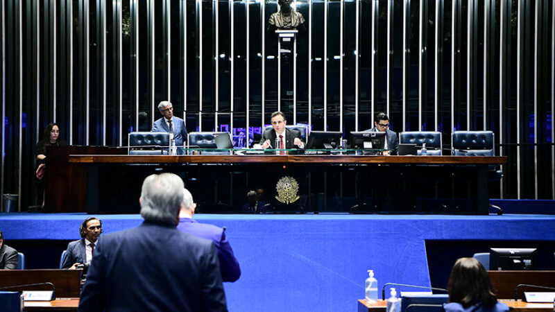 Artesanato em capim dourado é reconhecido como manifestação cultural — Senado Notícias