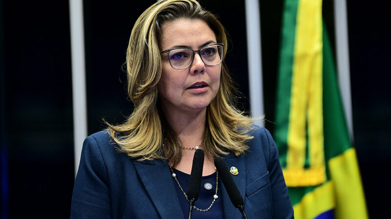 Leila Barros anuncia projeto para tornar lei mais dura contra incêndios criminosos — Senado Notícias