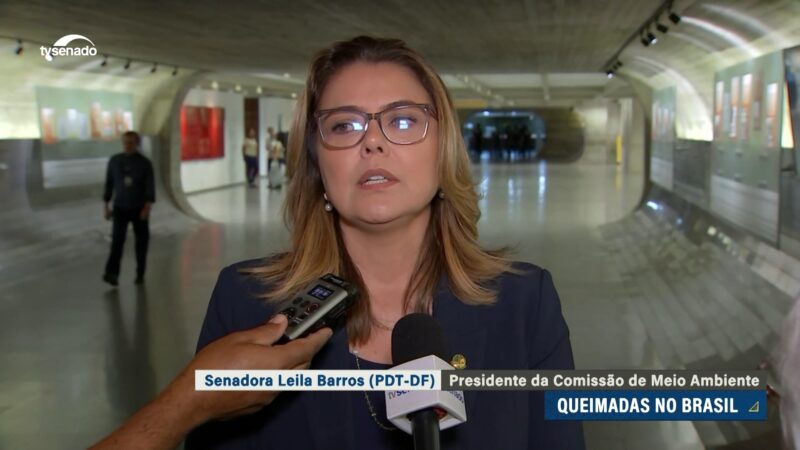 CMA vai debater questão dos incêndios; Leila diz que incêndios atuais são dolosos — Senado Notícias