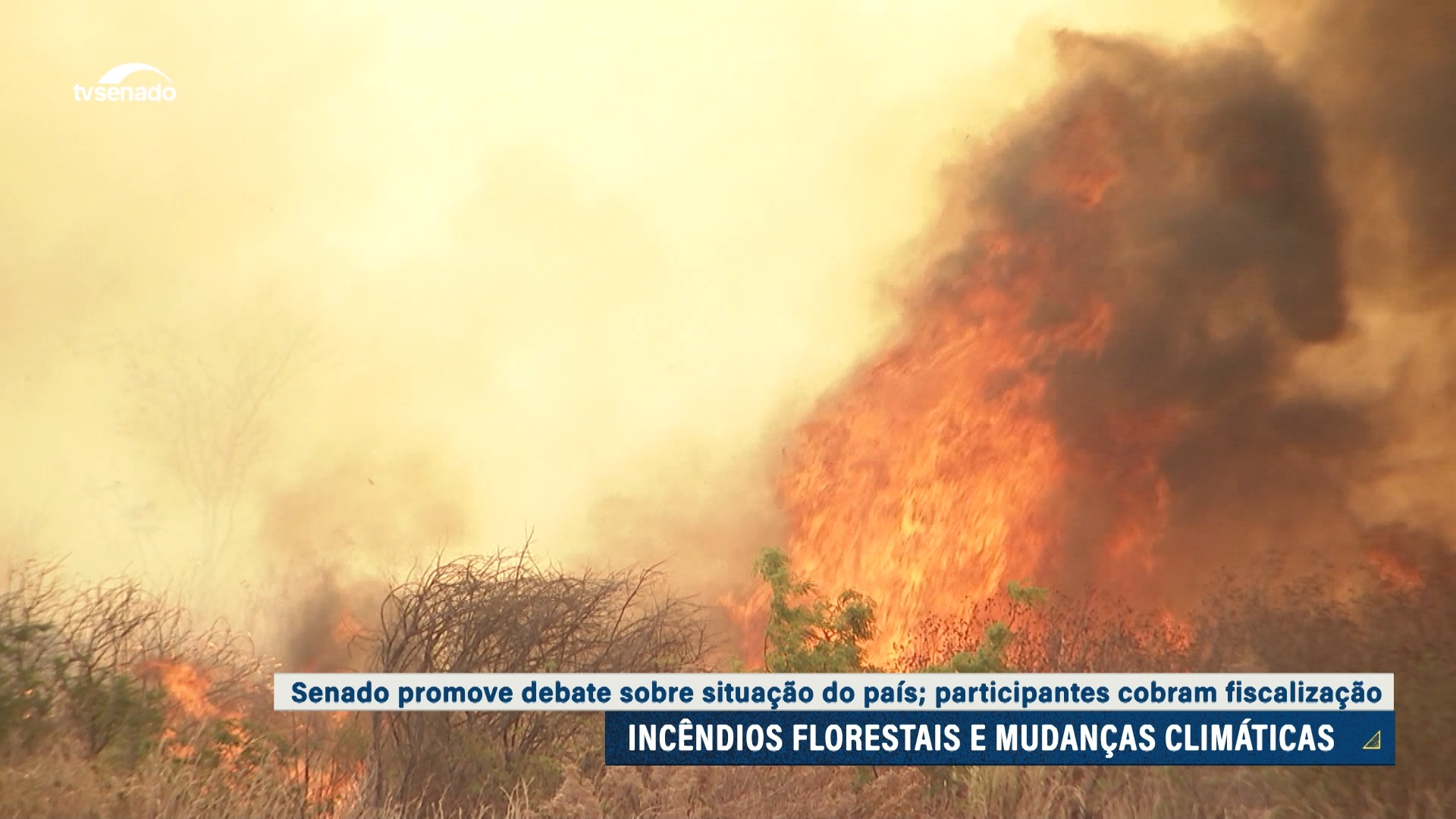 Para enfrentar queimadas, especialistas cobram recursos para órgãos ambientais — Senado Notícias