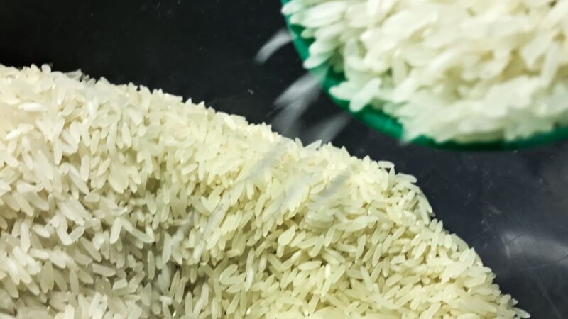 Conab vai doar sementes de arroz para agricultores familiares do RS