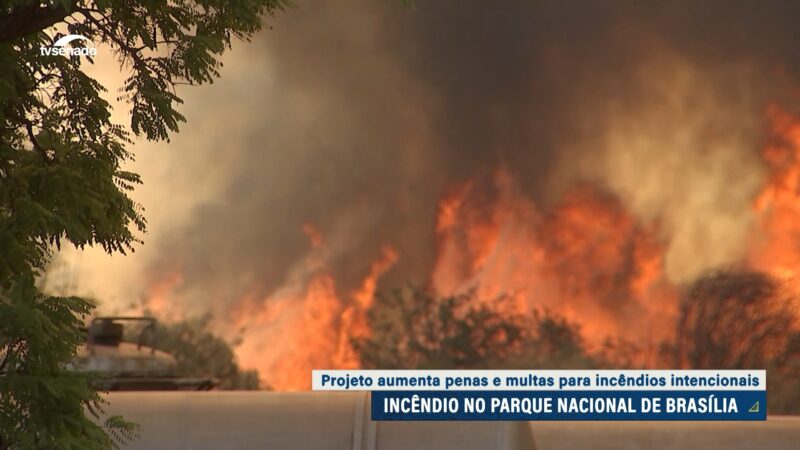 Projeto aumenta pena e multa para incêndios intencionais — Senado Notícias