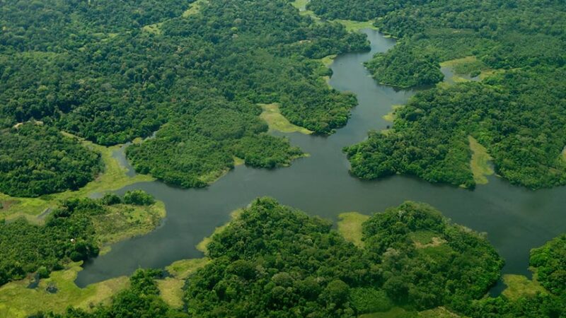 CMA analisa uso de arrecadação do petróleo para proteção da Amazônia — Senado Notícias