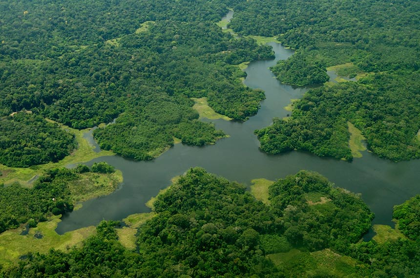 CMA analisa uso de arrecadação do petróleo para proteção da Amazônia — Senado Notícias