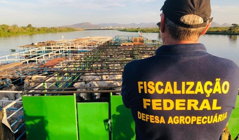 Heinze sugere adicional de fronteira para servidores do Ministério da Agricultura — Senado Notícias