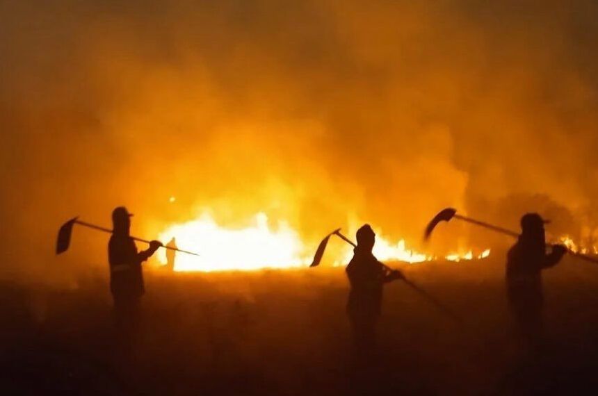 Plenário vai debater incêndios florestais e mudanças climáticas — Senado Notícias