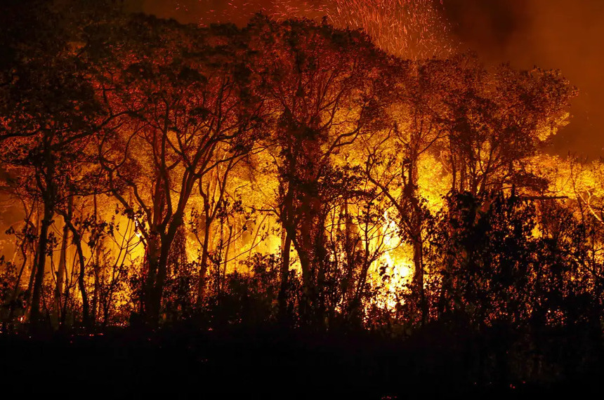 Senadores apresentam projetos para agravar penas em crimes de incêndio — Senado Notícias