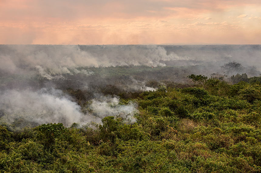 Incêndio criminoso em floresta poderá ser considerado ato de terrorismo — Senado Notícias