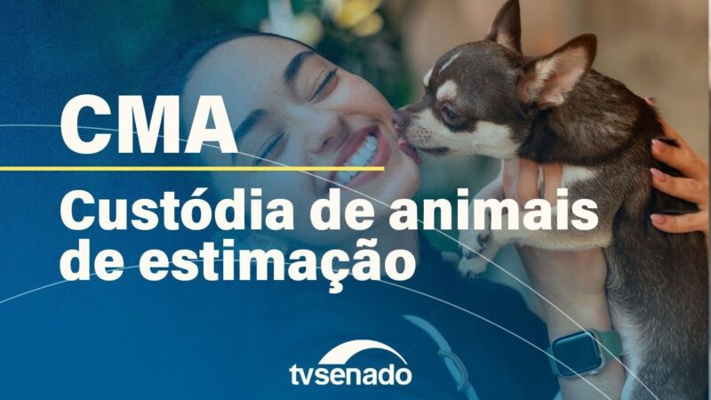 CMA analisa guarda compartilhada de pets – 9/10/24 — Senado Notícias