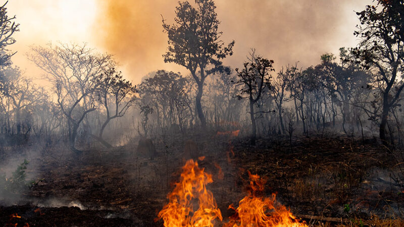 Questão climática é desafio para prefeitos e vereadores — Senado Notícias