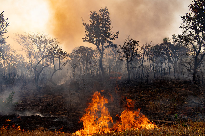 Questão climática é desafio para prefeitos e vereadores — Senado Notícias