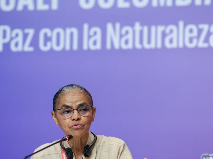 Marina Silva defende indígena brasileira presa na COP16 durante protesto