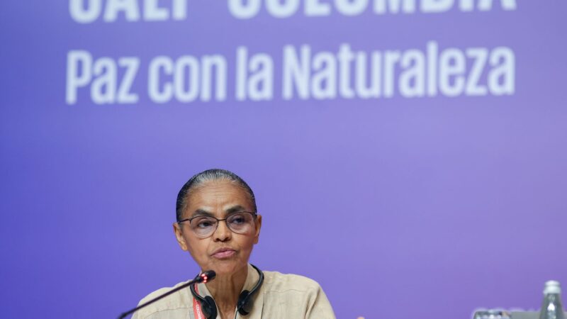 Marina Silva defende indígena brasileira presa na COP16 durante protesto