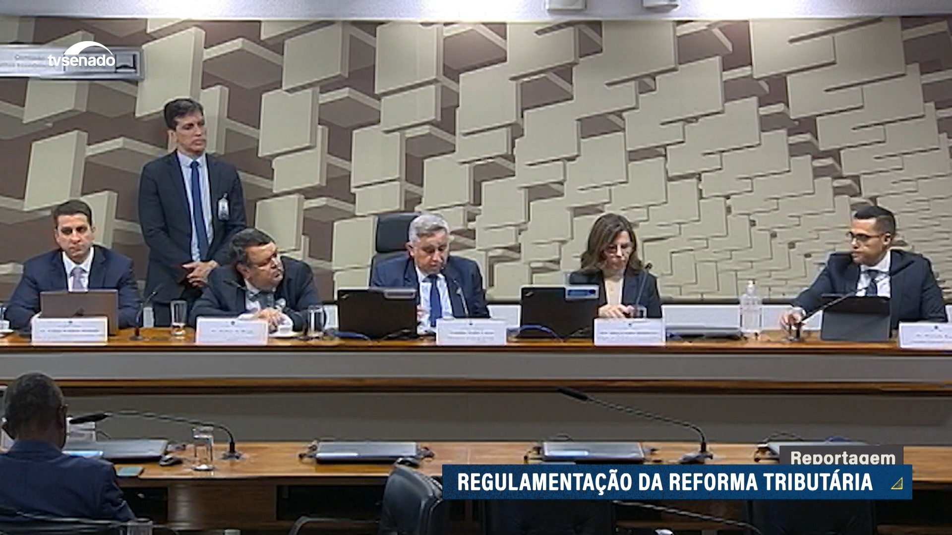 criação do Comitê Gestor do IBS divide debatedores — Senado Notícias