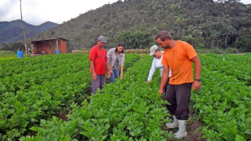 Proposta facilita crédito e seguro para agricultura familiar — Senado Notícias