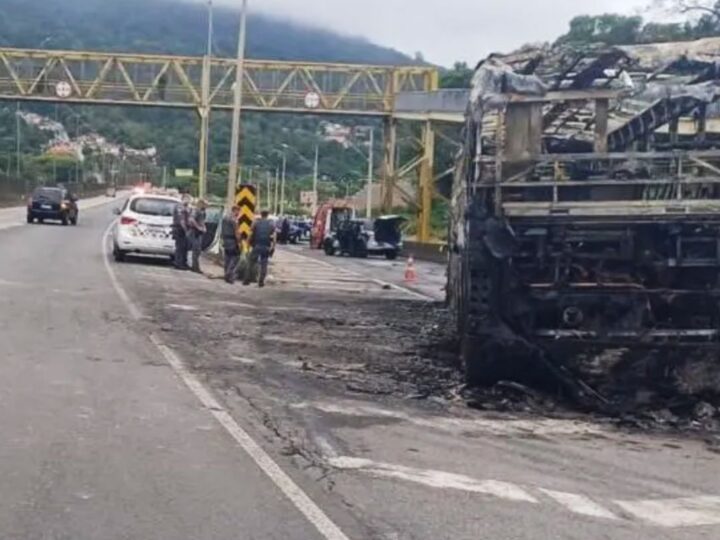 Após morte de torcedor, federação proíbe Mancha Alvi Verde em estádios