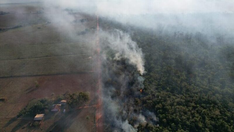 Projeto prevê pena de até 12 anos para quem causa desastre ecológico — Senado Notícias