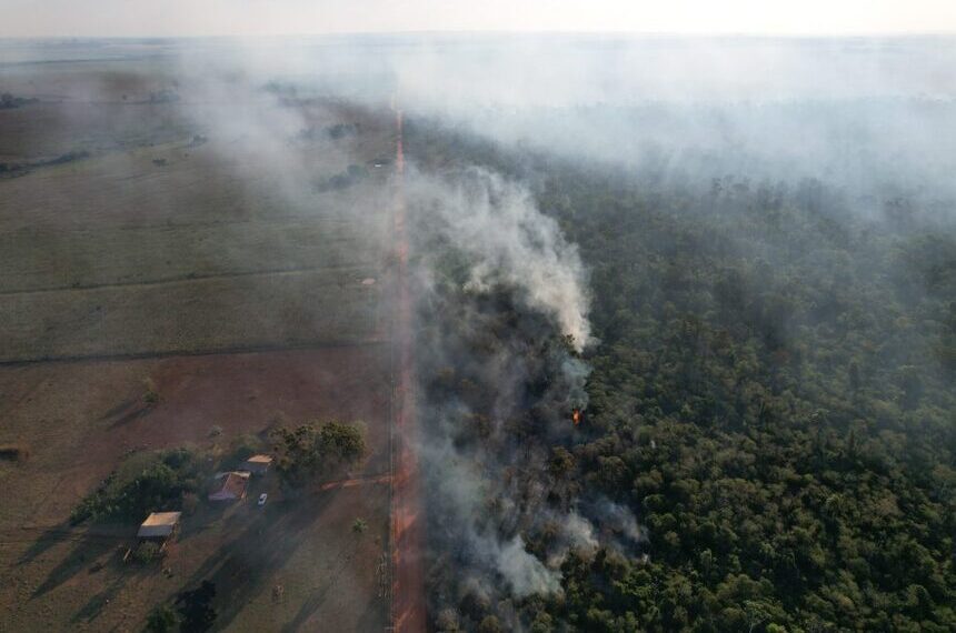 Projeto prevê pena de até 12 anos para quem causa desastre ecológico — Senado Notícias