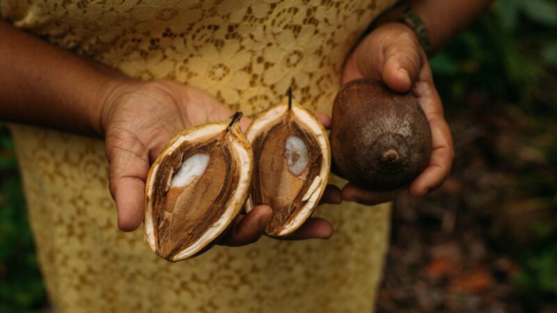 Fundos comunitários garantem direitos de povos tradicionais